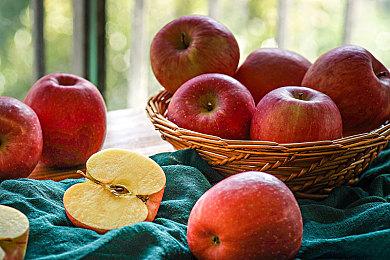 传闻：《生化危机9》是系列最大规模和预算游戏